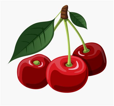 Cartoon Cherry Images .